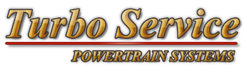 cropped-logo100.png